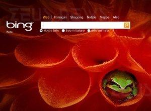 Bing in crescita Google in calo