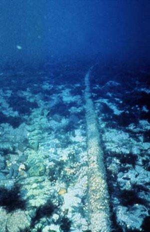 Lampedusa tranciato cavo fibra ottica