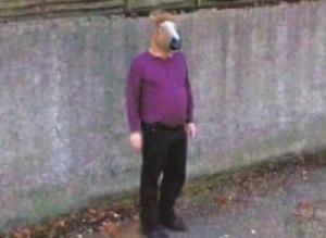 Street View horseboy uomo testa cavallo