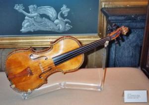 Stradivarius fungo