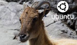 ubuntu trusty tahr