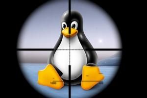 Linux-vulnerabile