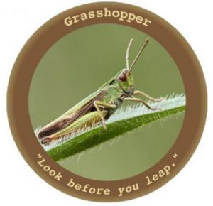wikileaks grasshopper