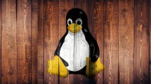 linux kernel linus torvalds termini inclusivi