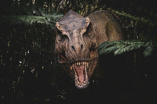 ubuntu t rex