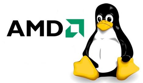 amd linux