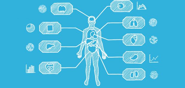 Organs on Chips Wyss Institute 2