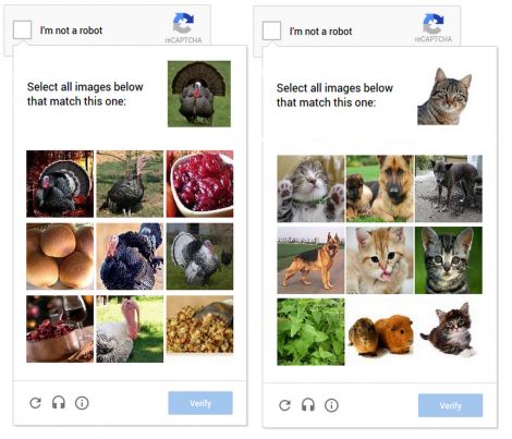 captcha gattini