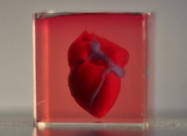 cuore stampato 3d