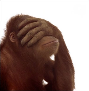 Facepalm monkey