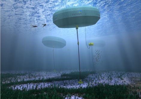 Carnegie Wave Energy Perth