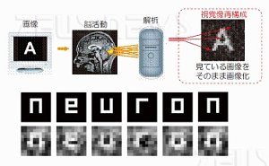 La macchina che legge i sogni dal cervello Neuron