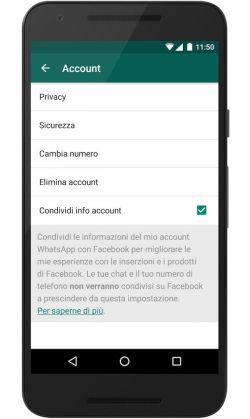 whatsapp condizioni duso2