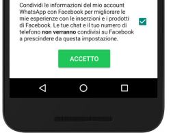 whatsapp condizioni duso