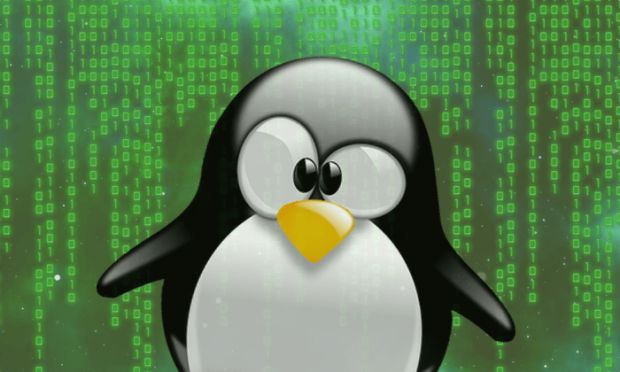 linux falle windows