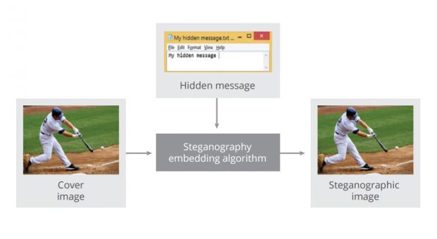 steganography