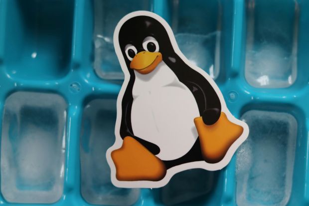danimarca lascia windows per linux
