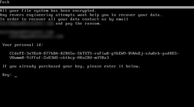 petya based eng 3