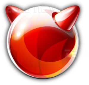 FreeBSD 8.0