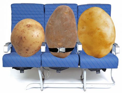 spuds patate wifi