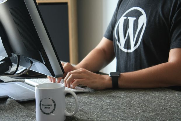 wordpress editor ia
