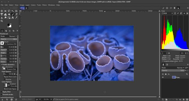 gimp 3 4 formato xml