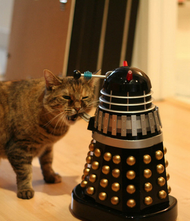 gatto morde dalek