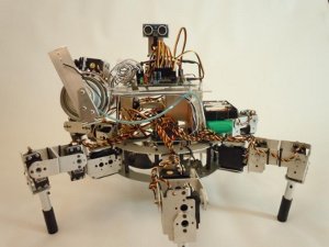 Prospero robot agricoltore pianta semi