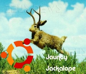 Ubuntu 9.04 Jaunty Jackalope beta