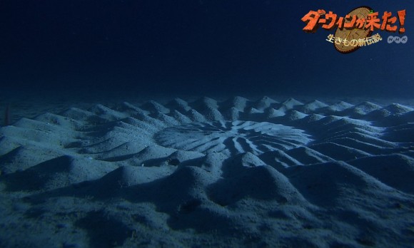 underwater mystery circle 11