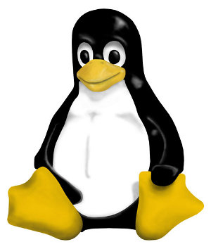 Server da Windows a Linux Unix Foundation