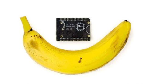 ChipBanana