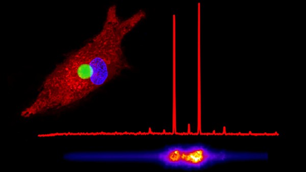 laser nelle cellule