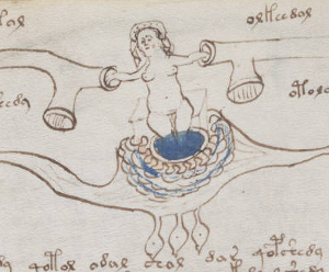 Voynich XV secolo