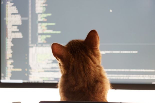 cassandra vibe coding