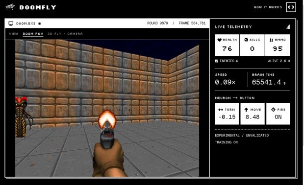 cervello moscerino doom