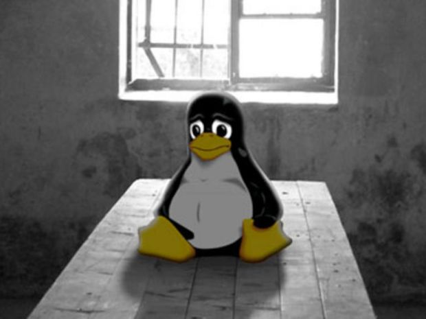 sassonia linux windows