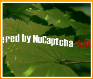 NuCaptcha captcha animati video spambot