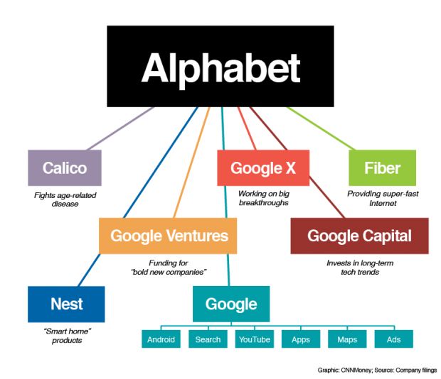 Google Alphabet grafico cnn