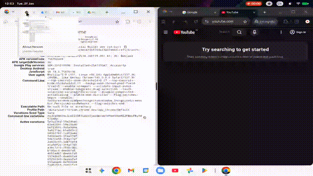 Android Desktop Leak 1