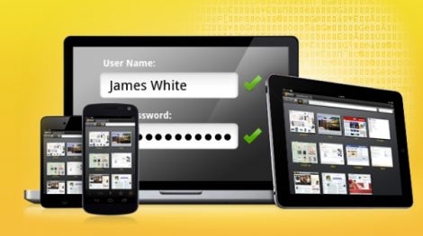 norton identity safe password