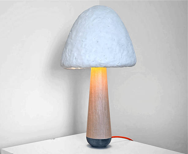 Mush Lume danielle trofe lampshade from mushrooms