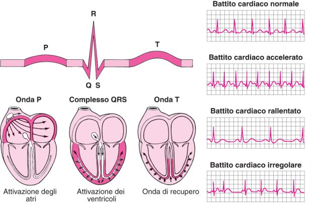 battito cardiaco