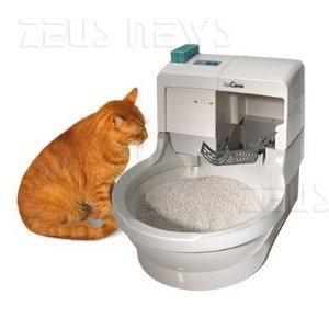 La lettiera per gatti autopulente - Zeus News
