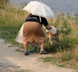 L'analisi del Dna contro gli escrementi di cane