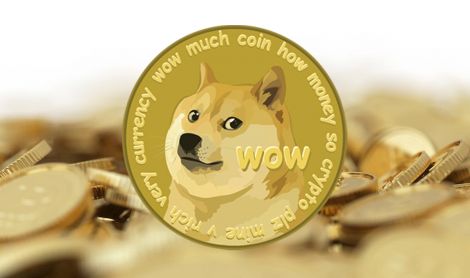 dogecoin nas synology