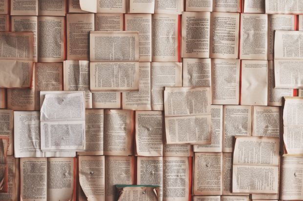 ia distrugge libri