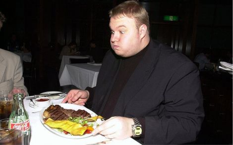 kim dotcom mega censura google