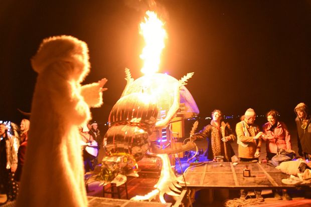 Dung Beetle Project AfrikaBurn