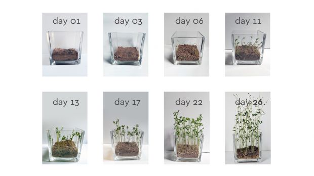 biopack 05